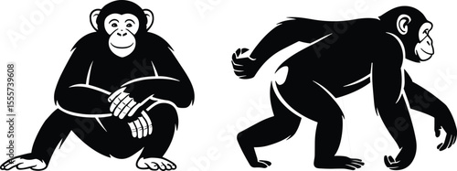 Chimpanzee silhouette vector, one sitting and one walking, black wildlife illustration, tropical jungle animal design, cartoon style behavior concept