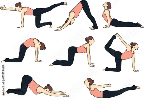 Collection of Female Yoga Animal Poses. Cat-Cow, Downward Dog, Cobra, Extended Puppy, Bird Dog, Tiger and Locust Poses. Perfect for yoga class or tutorials, meditation, fitness and wellness designs