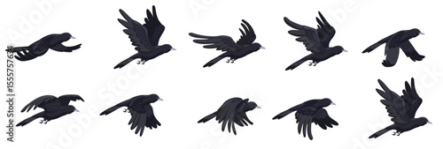 crow flying animation animated fly raven bird sequence cycle Halloween enemies  game cartoon crows