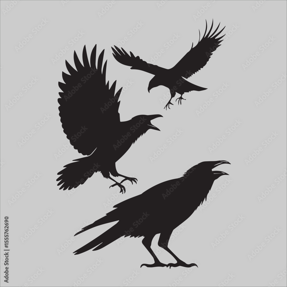 Obraz premium Crows in Conflict