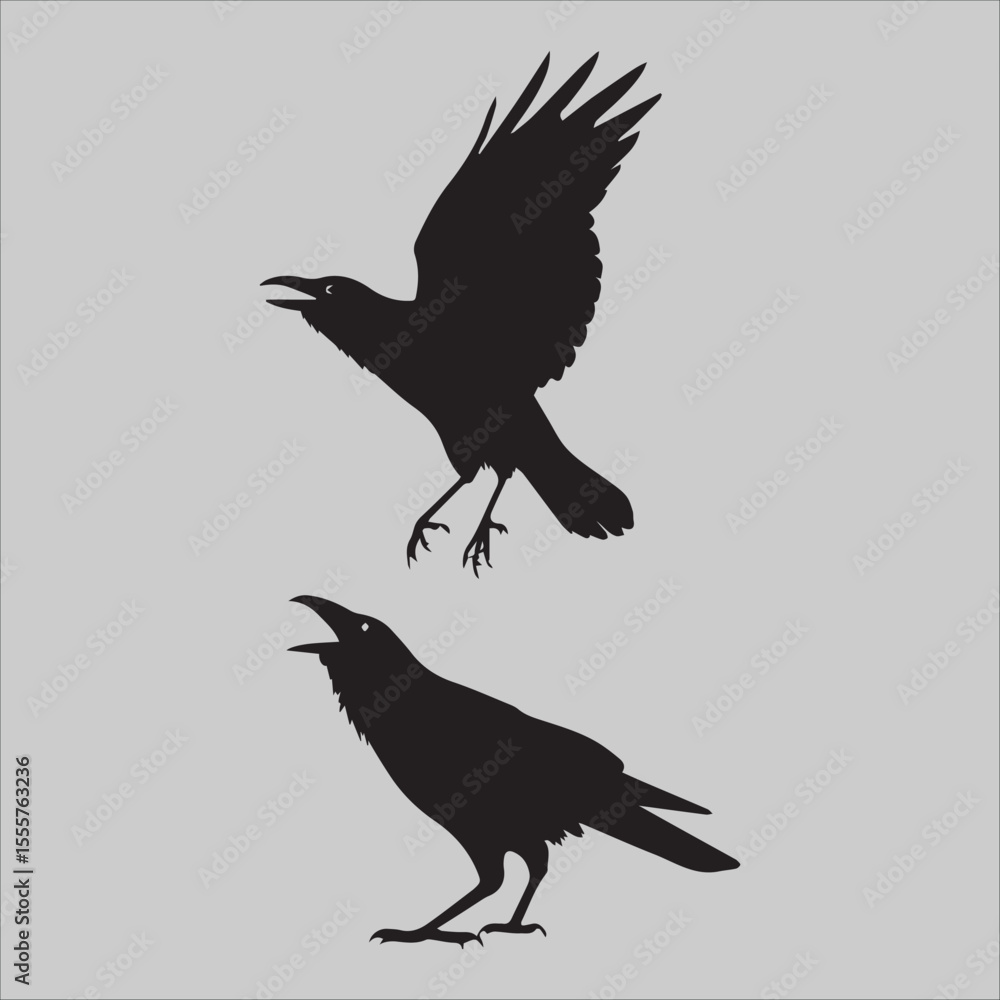 Fototapeta premium Crow Flock Argument