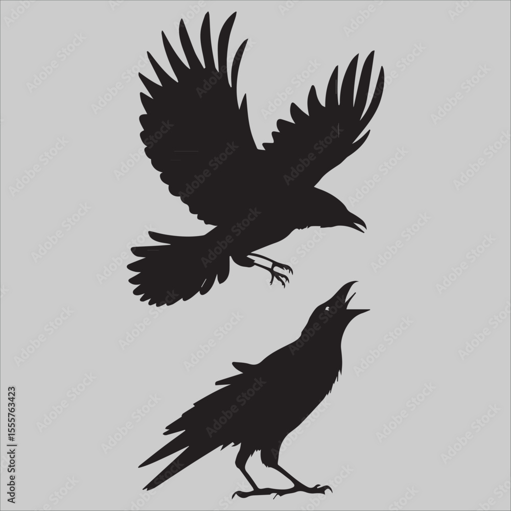 Fototapeta premium Crow Flock Argument