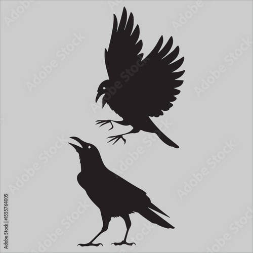 WebFlying Crow Attacks 