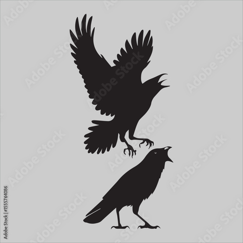 WebFlying Crow Attacks 
