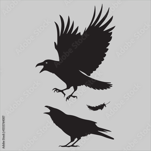 WebFlying Crow Attacks 