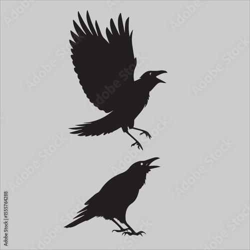 three crows arguing