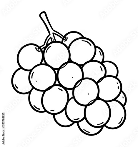 grapes outline vector icon for fruit or harvest design