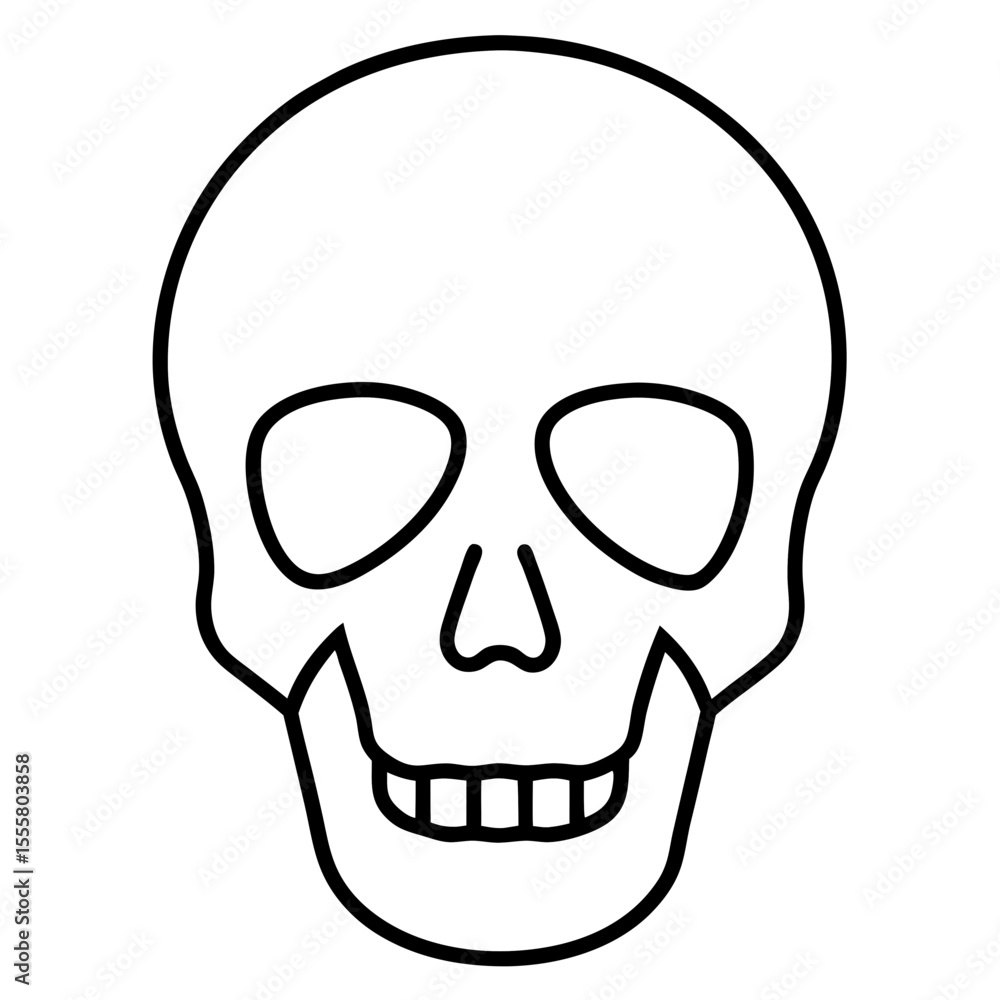Fototapeta premium human skull vector illustration