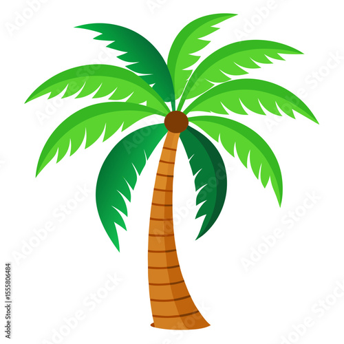 palm tree vector illustration