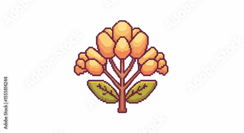 set of flowers