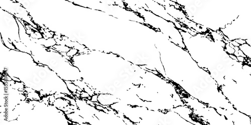 "A high-contrast black and white abstract pattern resembling natural marble veining or intricate cracked ice, with organic, flowing lines and fragmented shapes."