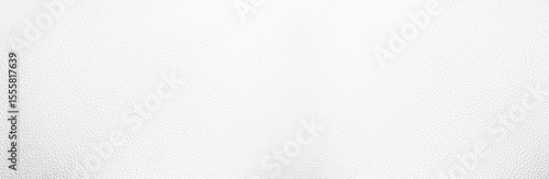 Wide Light white luxury upholstery sofa texture background concept for clean gray vintage leather furniture pattern wallpaper, Panoramic elegant armchair mattress surface detail, real material.