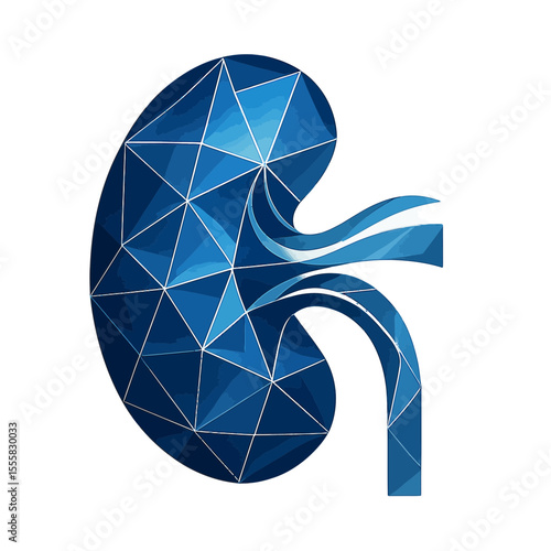 Nephrology: Crystalline kidney with filtration energy flow
