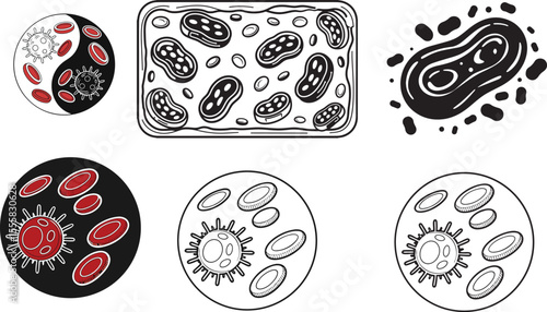 Blood Cell Vector Icon | Black and White Hematology Symbol on Blank Background

