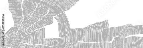 Wood texture frame, wood plank, gray lines on white background, vector design