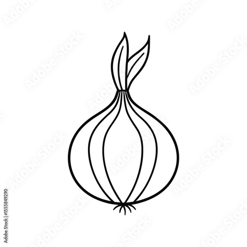onion isolated on white background