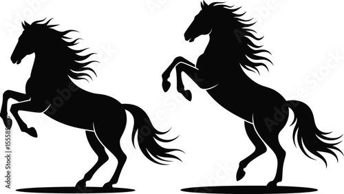 Two rearing horses silhouette equestrian illustration elegant stallion design graphic