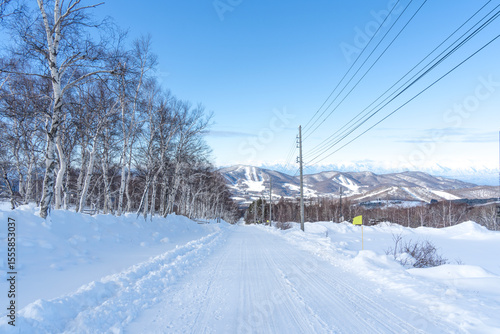 まっすぐ長く延びる雪道