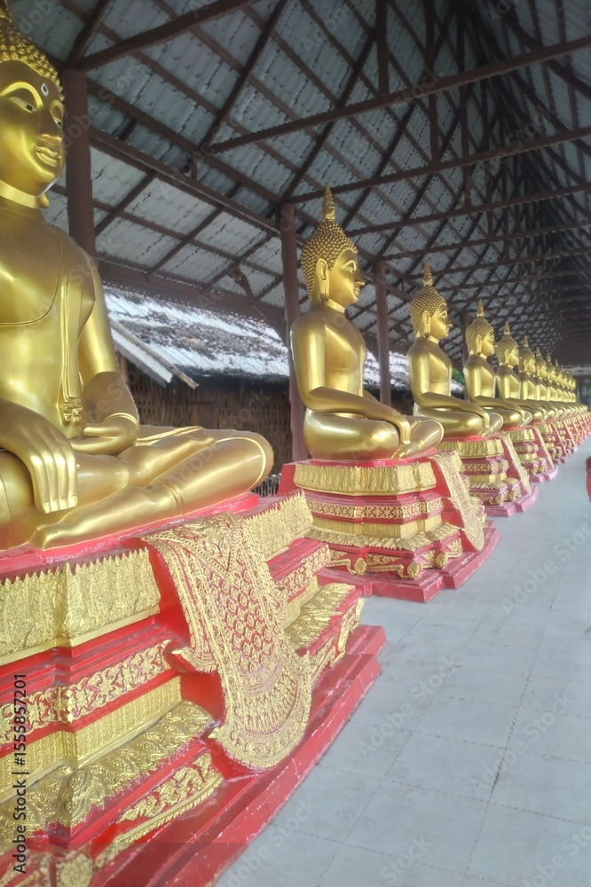 Fototapeta premium buddha in thailand