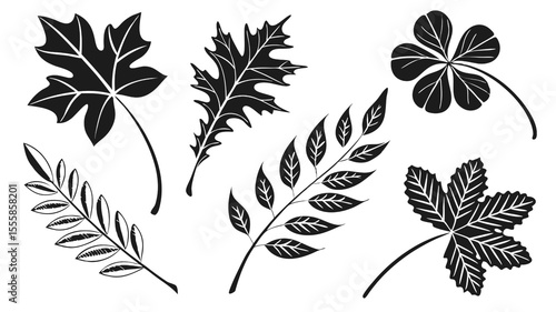 A collection of six black and white leaf illustrations of various shapes on a black background created with generated ai