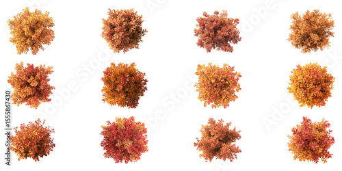 Autumn Foliage Top View Illustration Set. Landscape Design And Seasonal Planning Collection. Isolated Vector Illustration