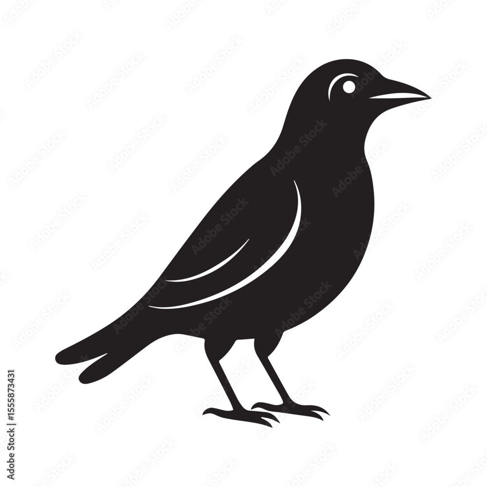 Obraz premium Common blackbird vector art illustration