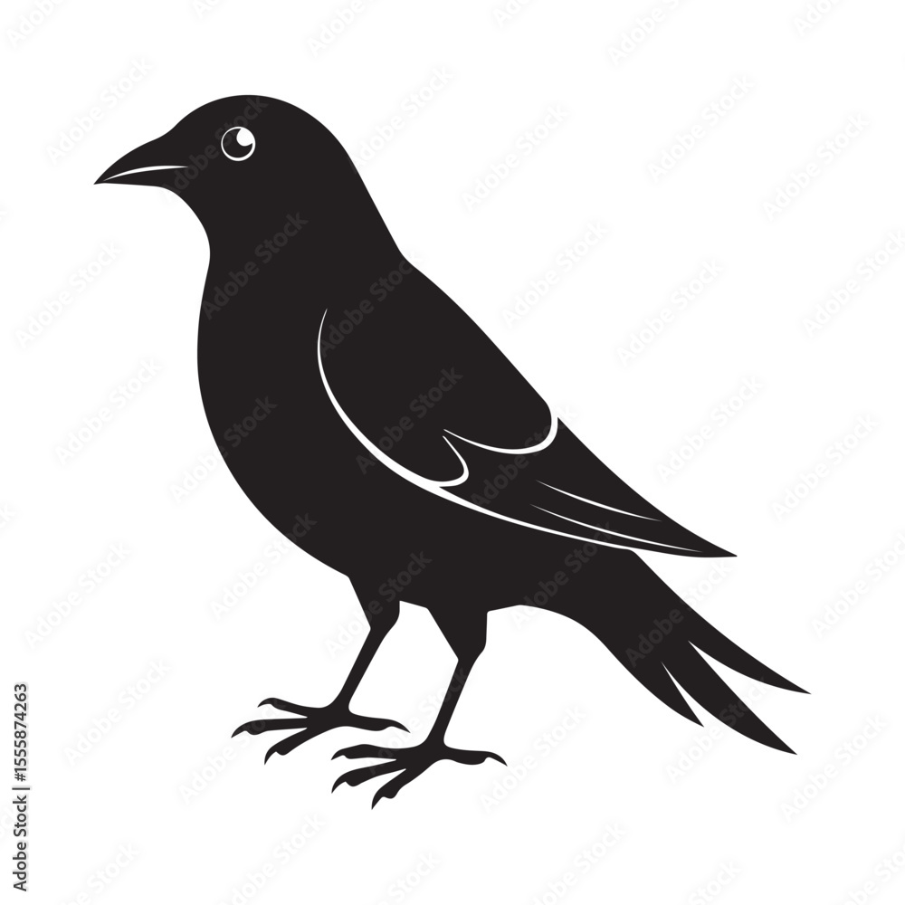 Obraz premium Common blackbird vector art illustration