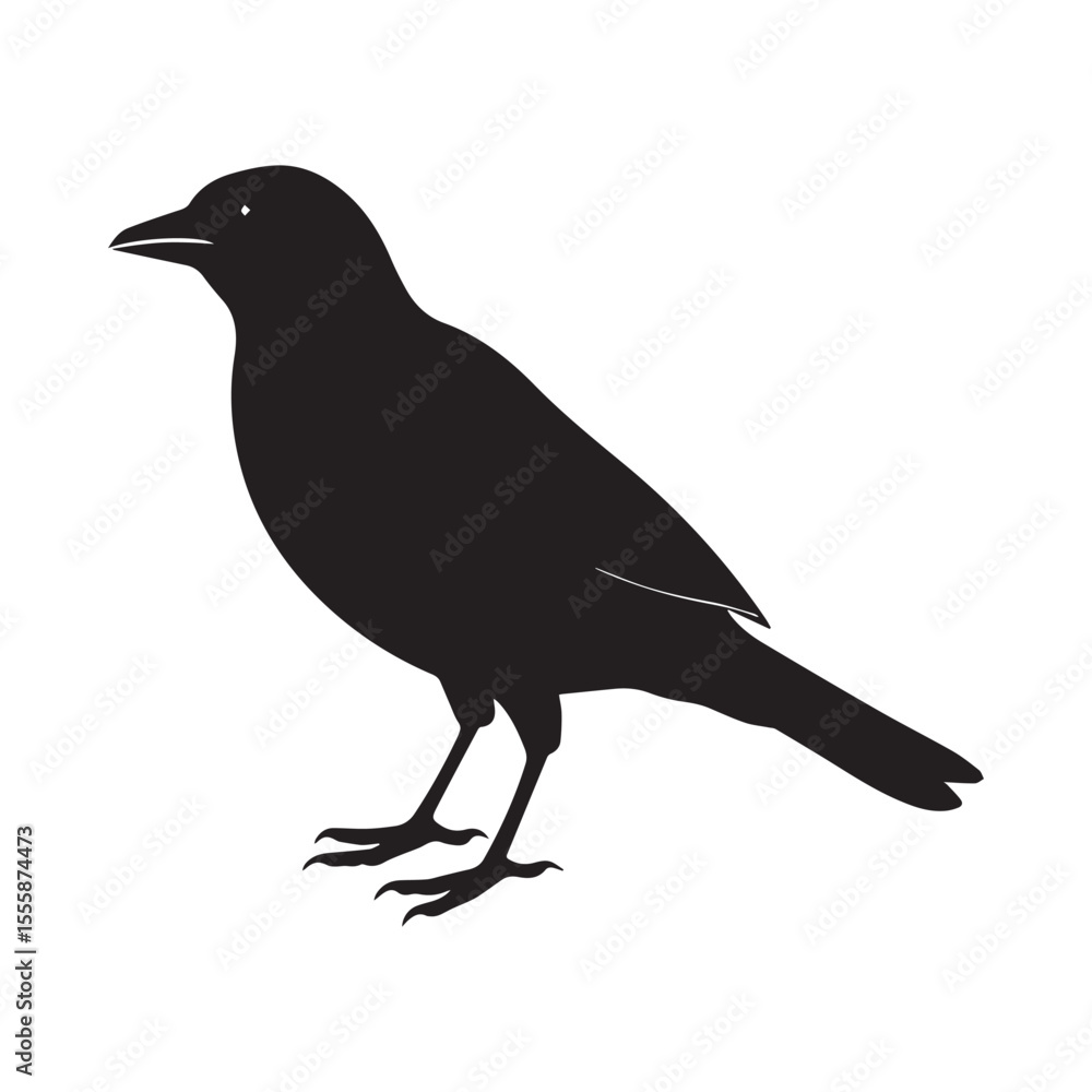 Obraz premium Common blackbird vector art illustration