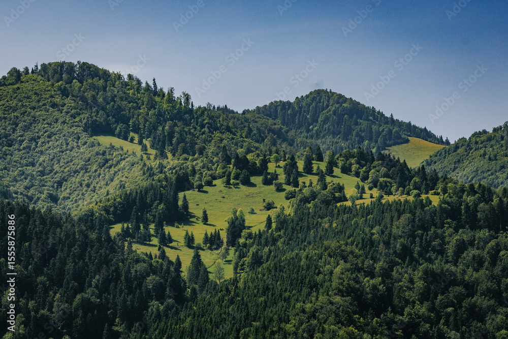 Obraz premium The Carpathian Mountains in Romania are a majestic mountain range, rich in wildlife, forests, and breathtaking landscapes.