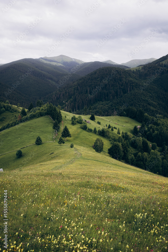 Fototapeta premium The Carpathian Mountains in Romania are a majestic mountain range, rich in wildlife, forests, and breathtaking landscapes.