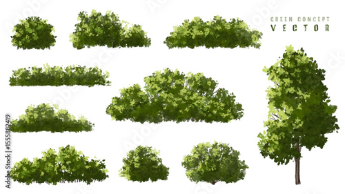 Vector watercolor green  tree or forest side view isolated on white background for landscape and architecture drawing,elements for environment or and garden,Shrub for section