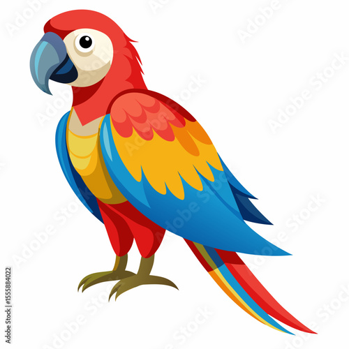 parrot isolated on white background