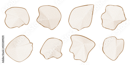 Eight brown graphic outline wavy concentric tree rings of wooden cuts on white. Slices wood trunk. Ripple organic circles. Hardwood stump. Vector illustration