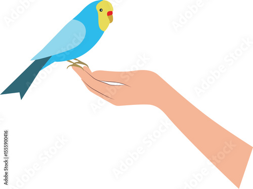 Blue Budgie Perched on a Hand minimalist vector art. 