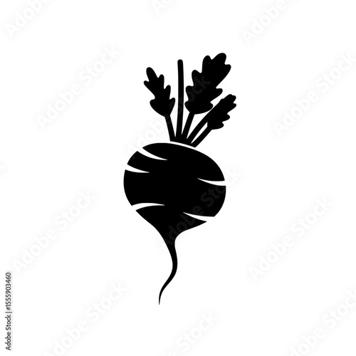 Beetroot Silhouette: A stark silhouette of a beetroot against a stark backdrop evokes organic, natural form.