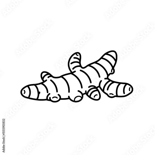 Turmeric Root Illustration: A simple, yet evocative, black and white line drawing of a fresh turmeric root, showcasing its distinctive form and texture. 