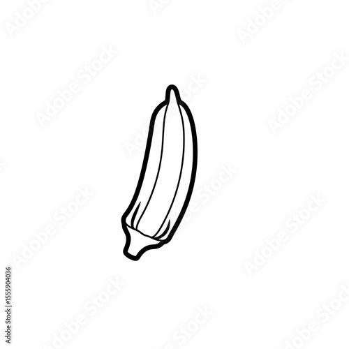 Okra Drawing: A simple line drawing captures the elegant form of a fresh okra pod, highlighting its unique shape and textured surface, evoking a sense of culinary appeal.