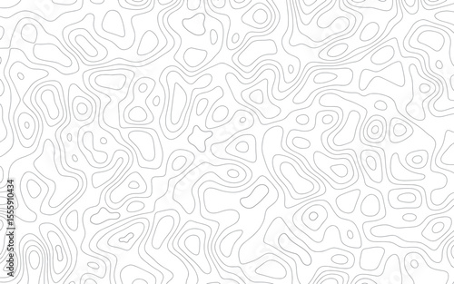 Abstract topographic line map. Cartography line map. Geographic line map. Topographic wavy pattern. Line wave. Carve pattern on a white background.