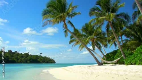 Tropical paradise beach with palm trees and hammock under blue sky