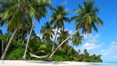 Tropical paradise beach with palm trees and hammock under blue sky