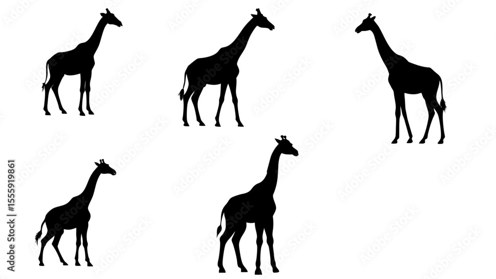 Fototapeta premium Giraffe Silhouette Vector Set - African Wildlife Graphics