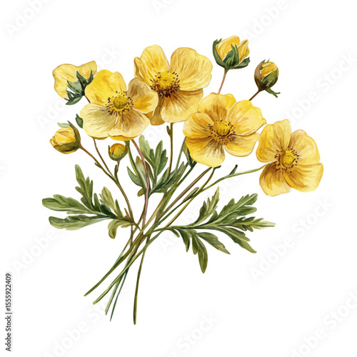 A Mountain Avens Bouquet, watercolor illustration vector, isolated on a white background.