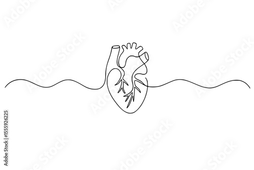 Single Continuous Line Drawing of a Human Heart on White Background
