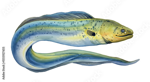 Watercolor Painting of a Spotted Moray Eel watercolor png, transparent isolated nackground