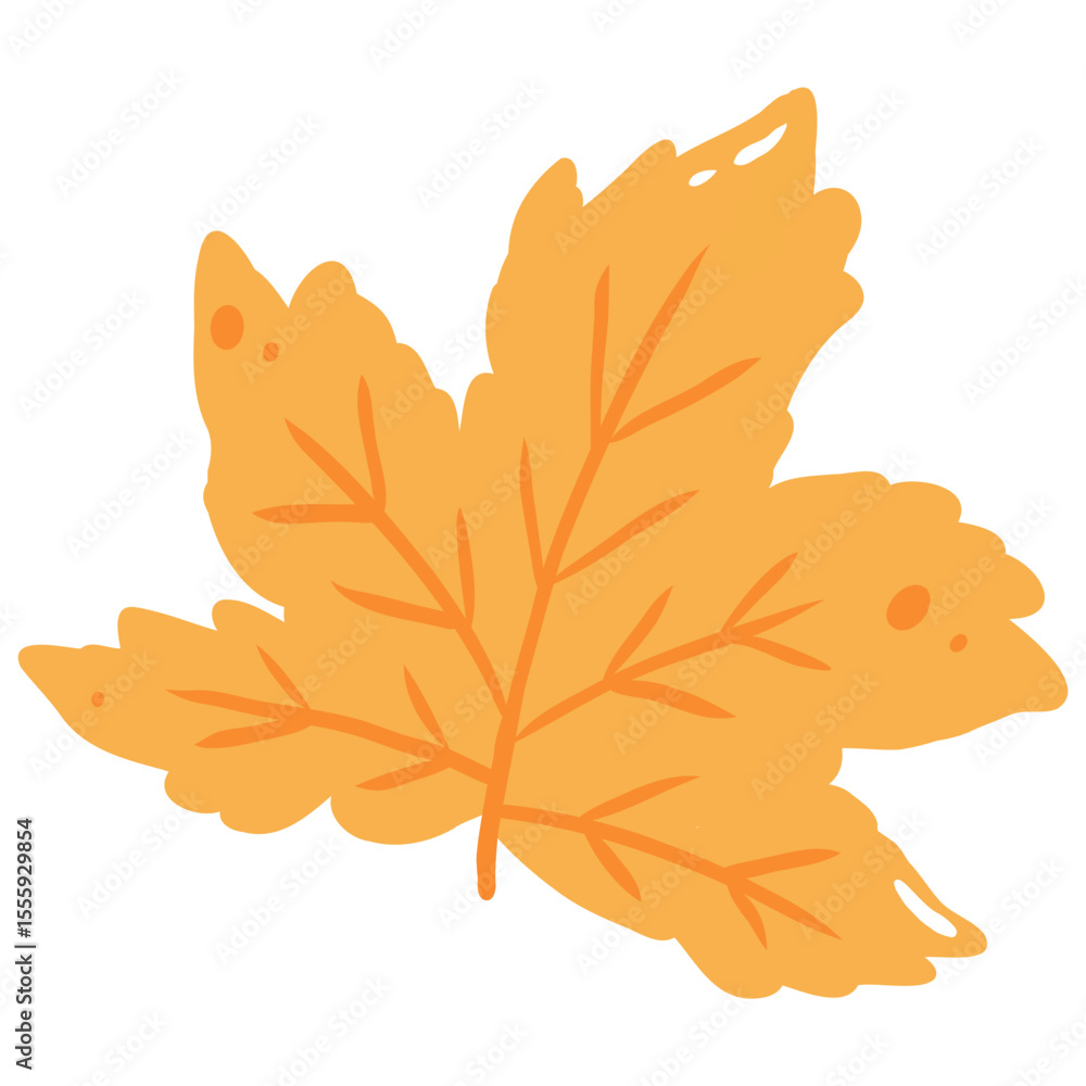 Obraz premium fall autumn