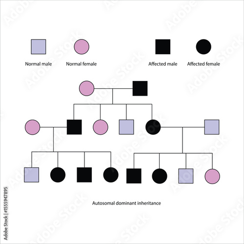 Pedigree Chart Illustrating Autosomal Dominant Inheritance