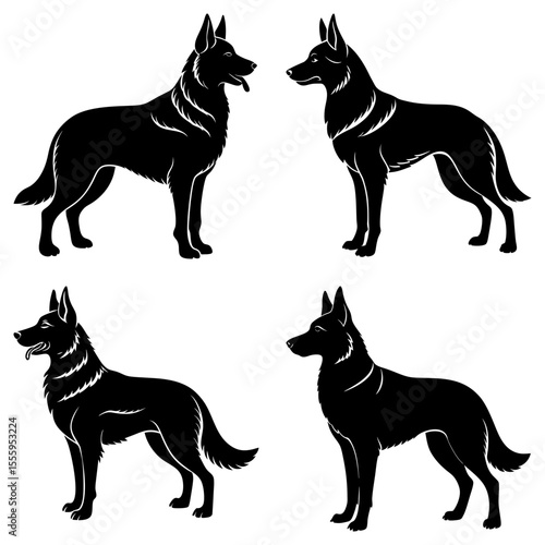Four black silhouette illustrations of belgian shepherd malinois dogs standing in various poses and orientations
