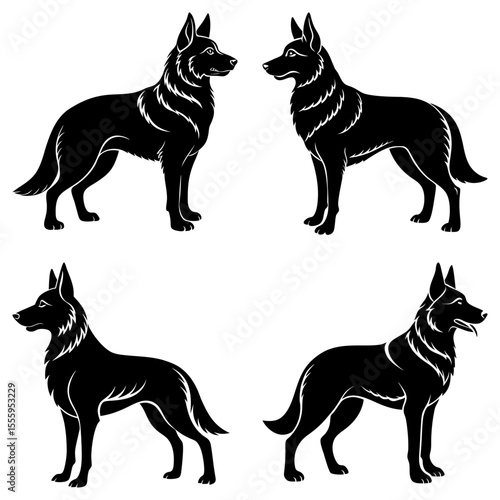 Four black silhouette illustrations of a german shepherd dog in various standing positions on a white background