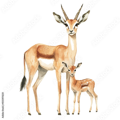 A Mother Gazelle With Her Kid, watercolor painting vector, isolated on a white background.