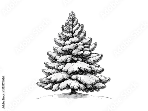 Vintage black ink sketch, engraving of snow-covered pine tree, winter forest illustration, antique seasonal decor, hand-drawn artwork, retro print, rustic holiday design, nature art
